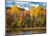 USA, Michigan, Upper Peninsula, Munising. Autumn trees at Thornton Lake-Ann Collins-Mounted Photographic Print