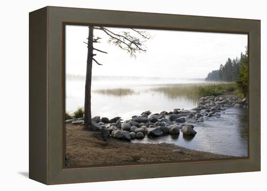 USA, Minnesota, Itasca State Park, Mississippi Headwaters-Peter Hawkins-Framed Premier Image Canvas