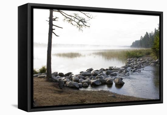 USA, Minnesota, Itasca State Park, Mississippi Headwaters-Peter Hawkins-Framed Premier Image Canvas