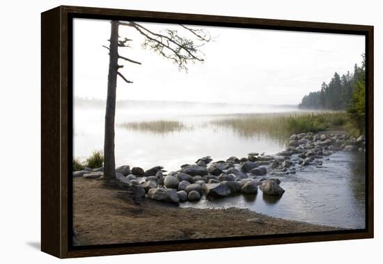 USA, Minnesota, Itasca State Park, Mississippi Headwaters-Peter Hawkins-Framed Premier Image Canvas