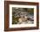 USA, Minnesota, Itasca State Park, Mississippi Headwaters-Peter Hawkins-Framed Photographic Print