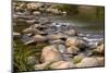 USA, Minnesota, Itasca State Park, Mississippi Headwaters-Peter Hawkins-Mounted Photographic Print