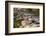 USA, Minnesota, Itasca State Park, Mississippi Headwaters-Peter Hawkins-Framed Photographic Print