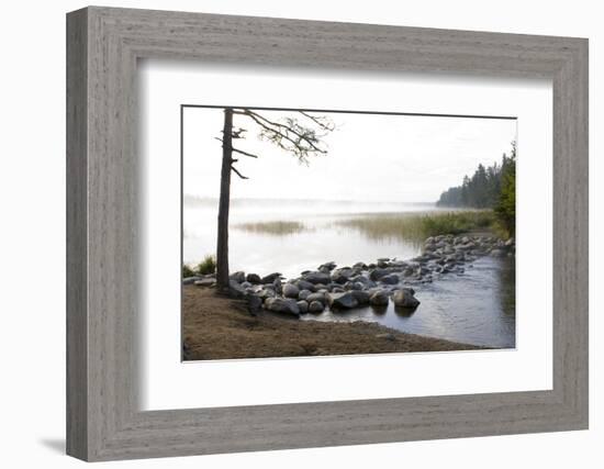 USA, Minnesota, Itasca State Park, Mississippi Headwaters-Peter Hawkins-Framed Photographic Print