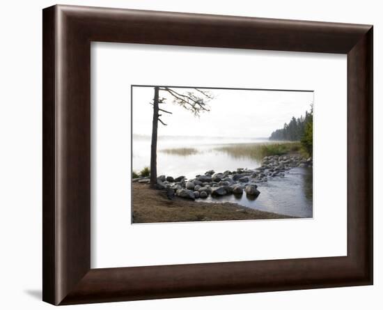 USA, Minnesota, Itasca State Park, Mississippi Headwaters-Peter Hawkins-Framed Photographic Print