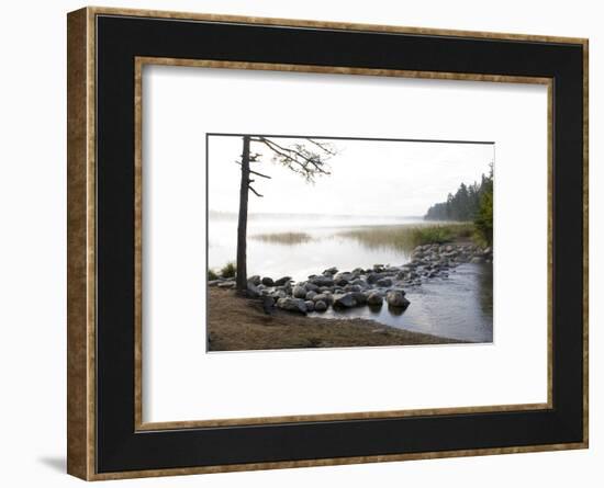 USA, Minnesota, Itasca State Park, Mississippi Headwaters-Peter Hawkins-Framed Photographic Print