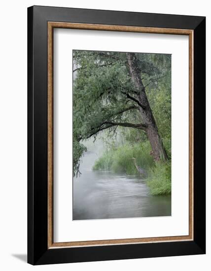 USA, Minnesota, Itasca State Park, Mississippi Headwaters-Peter Hawkins-Framed Photographic Print