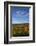 USA, Minnesota, Itasca State Park-Peter Hawkins-Framed Photographic Print