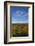 USA, Minnesota, Itasca State Park-Peter Hawkins-Framed Photographic Print