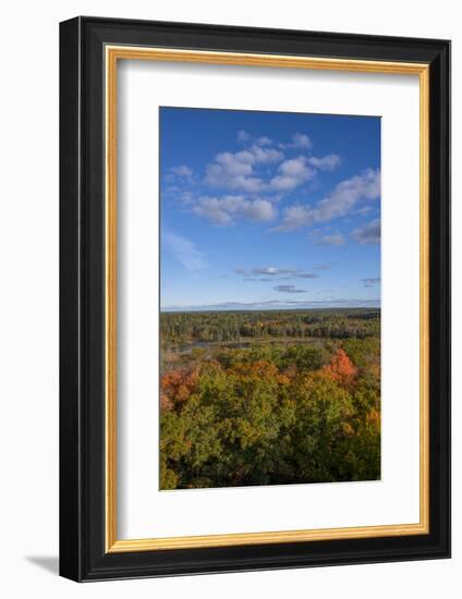 USA, Minnesota, Itasca State Park-Peter Hawkins-Framed Photographic Print