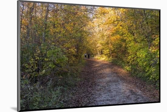 USA, Minnesota, Itasca State Park-Peter Hawkins-Mounted Photographic Print