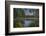 USA, Minnesota, Itasca State Park-Peter Hawkins-Framed Photographic Print