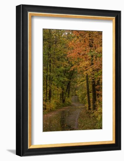 USA, Minnesota, Itasca State Park-Peter Hawkins-Framed Photographic Print