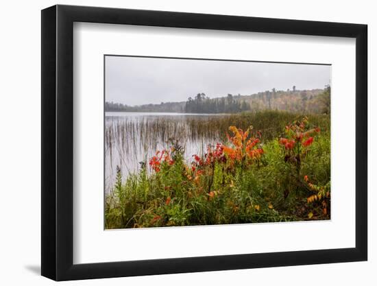 USA, Minnesota, Itasca State Park-Peter Hawkins-Framed Photographic Print