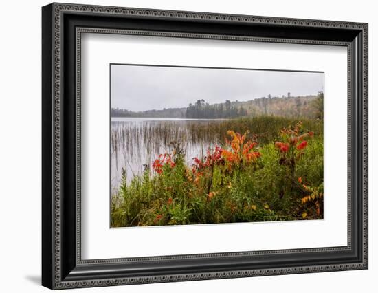 USA, Minnesota, Itasca State Park-Peter Hawkins-Framed Photographic Print