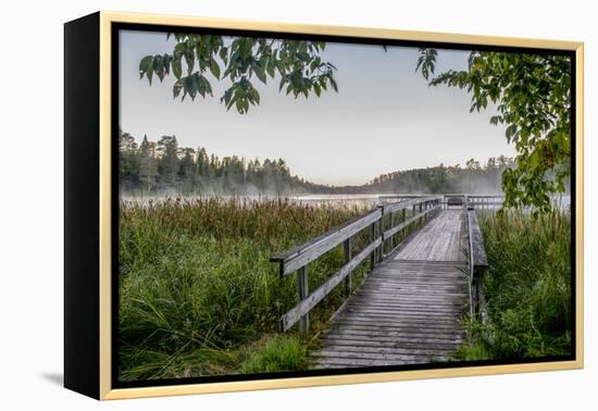 USA, Minnesota, Itasca State Park-Peter Hawkins-Framed Premier Image Canvas