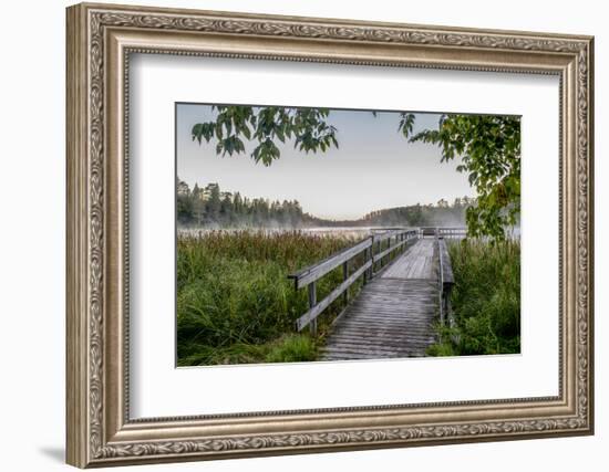 USA, Minnesota, Itasca State Park-Peter Hawkins-Framed Photographic Print