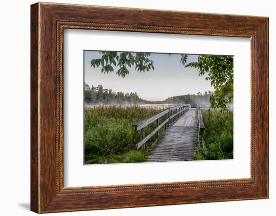 USA, Minnesota, Itasca State Park-Peter Hawkins-Framed Photographic Print