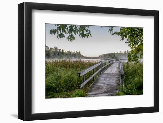 USA, Minnesota, Itasca State Park-Peter Hawkins-Framed Photographic Print