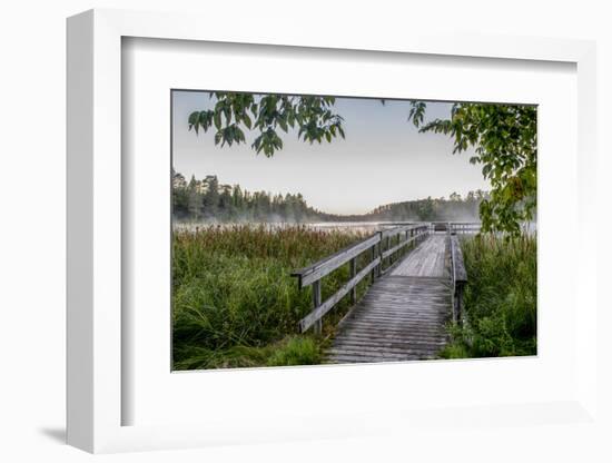 USA, Minnesota, Itasca State Park-Peter Hawkins-Framed Photographic Print