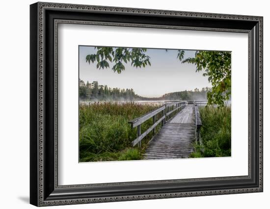 USA, Minnesota, Itasca State Park-Peter Hawkins-Framed Photographic Print