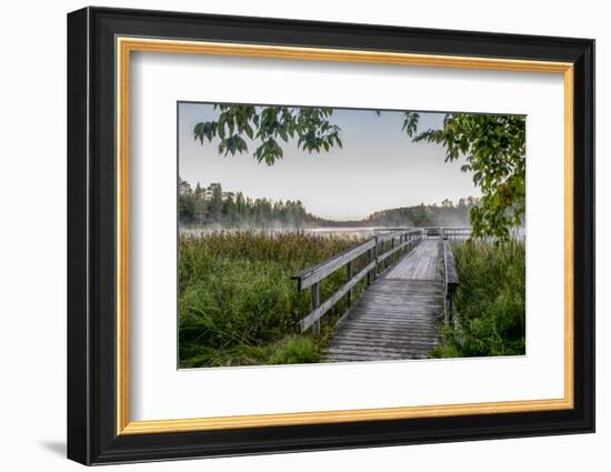 USA, Minnesota, Itasca State Park-Peter Hawkins-Framed Photographic Print