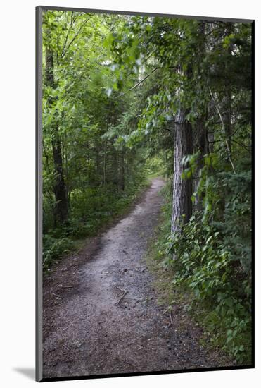 USA, Minnesota, La Salle State Recreation Area-Peter Hawkins-Mounted Photographic Print