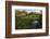 USA, Minnesota, La Salle State Recreation Area-Peter Hawkins-Framed Photographic Print