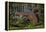USA, Minnesota, Sandstone, Bear Cub and Old Truck-Hollice Looney-Framed Premier Image Canvas