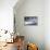 USA, Minnesota, Sandstone. Cougar on alert-Hollice Looney-Framed Premier Image Canvas displayed on a wall