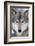 USA, Minnesota, Sandstone, Eyes of the Wolf-Hollice Looney-Framed Photographic Print