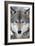 USA, Minnesota, Sandstone, Eyes of the Wolf-Hollice Looney-Framed Photographic Print