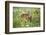 USA, Minnesota, Sandstone, Fawn Amongst the Wildflowers-Hollice Looney-Framed Photographic Print