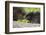 USA, Minnesota, Sandstone, Porcupine Mother and Baby-Hollice Looney-Framed Photographic Print