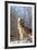 Usa, Minnesota, Sandstone, wolf howling-Hollice Looney-Framed Premium Photographic Print