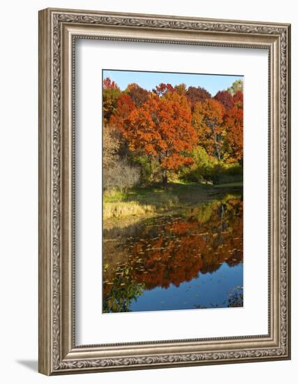 USA, Minnesota, Sunfish Lake, Fall Color Reflected in Pond-Bernard Friel-Framed Photographic Print