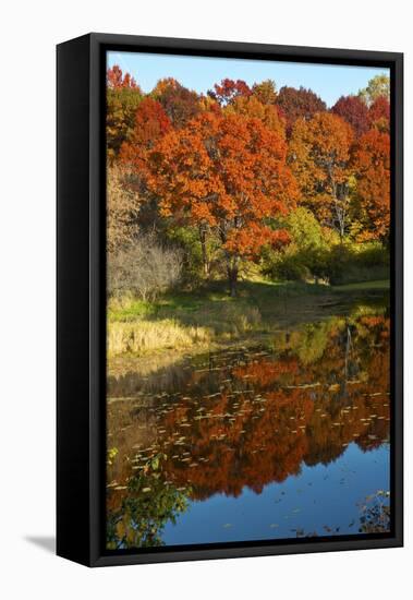 USA, Minnesota, Sunfish Lake, Fall Color Reflected in Pond-Bernard Friel-Framed Premier Image Canvas