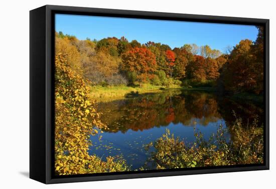 USA, Minnesota, Sunfish Lake, Fall Color Reflected in Pond-Bernard Friel-Framed Premier Image Canvas