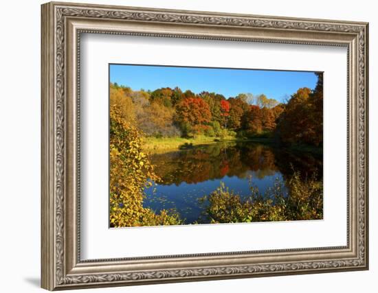 USA, Minnesota, Sunfish Lake, Fall Color Reflected in Pond-Bernard Friel-Framed Photographic Print