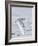 USA, Minnesota, Vermillion. Snowy Owl in Flight-Bernard Friel-Framed Photographic Print