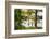 USA, Mississippi. Mississippi River Basin, cypress in Beaverdam Lake.-Alison Jones-Framed Photographic Print