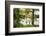 USA, Mississippi. Mississippi River Basin, cypress in Beaverdam Lake.-Alison Jones-Framed Photographic Print