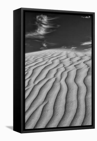 USA, Mojave Trails National Monument, California. Black and white image of windblown sand dune and -Judith Zimmerman-Framed Premier Image Canvas