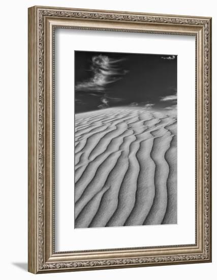 USA, Mojave Trails National Monument, California. Black and white image of windblown sand dune and -Judith Zimmerman-Framed Photographic Print