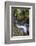 USA, Montana. Avalanche Creek, Glacier National Park.-Judith Zimmerman-Framed Photographic Print