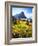 USA, Montana, Glacier National Park. Alpine Wildflowers-Jaynes Gallery-Framed Photographic Print