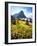 USA, Montana, Glacier National Park. Alpine Wildflowers-Jaynes Gallery-Framed Photographic Print