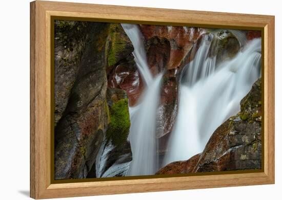 USA, Montana, Glacier National Park. Avalanche Creek Falls-Rona Schwarz-Framed Premier Image Canvas