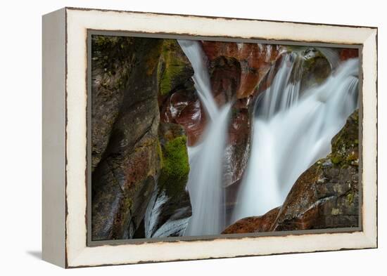 USA, Montana, Glacier National Park. Avalanche Creek Falls-Rona Schwarz-Framed Premier Image Canvas