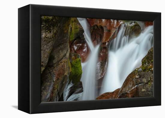 USA, Montana, Glacier National Park. Avalanche Creek Falls-Rona Schwarz-Framed Premier Image Canvas